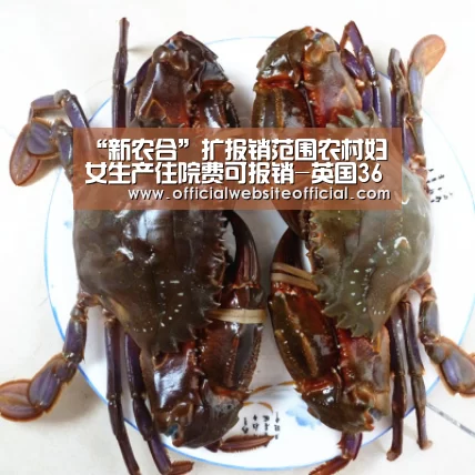 “新农合”扩报销范围农村妇女生产住院费可报销-英国365集团官网(图3) 英国365集团官网