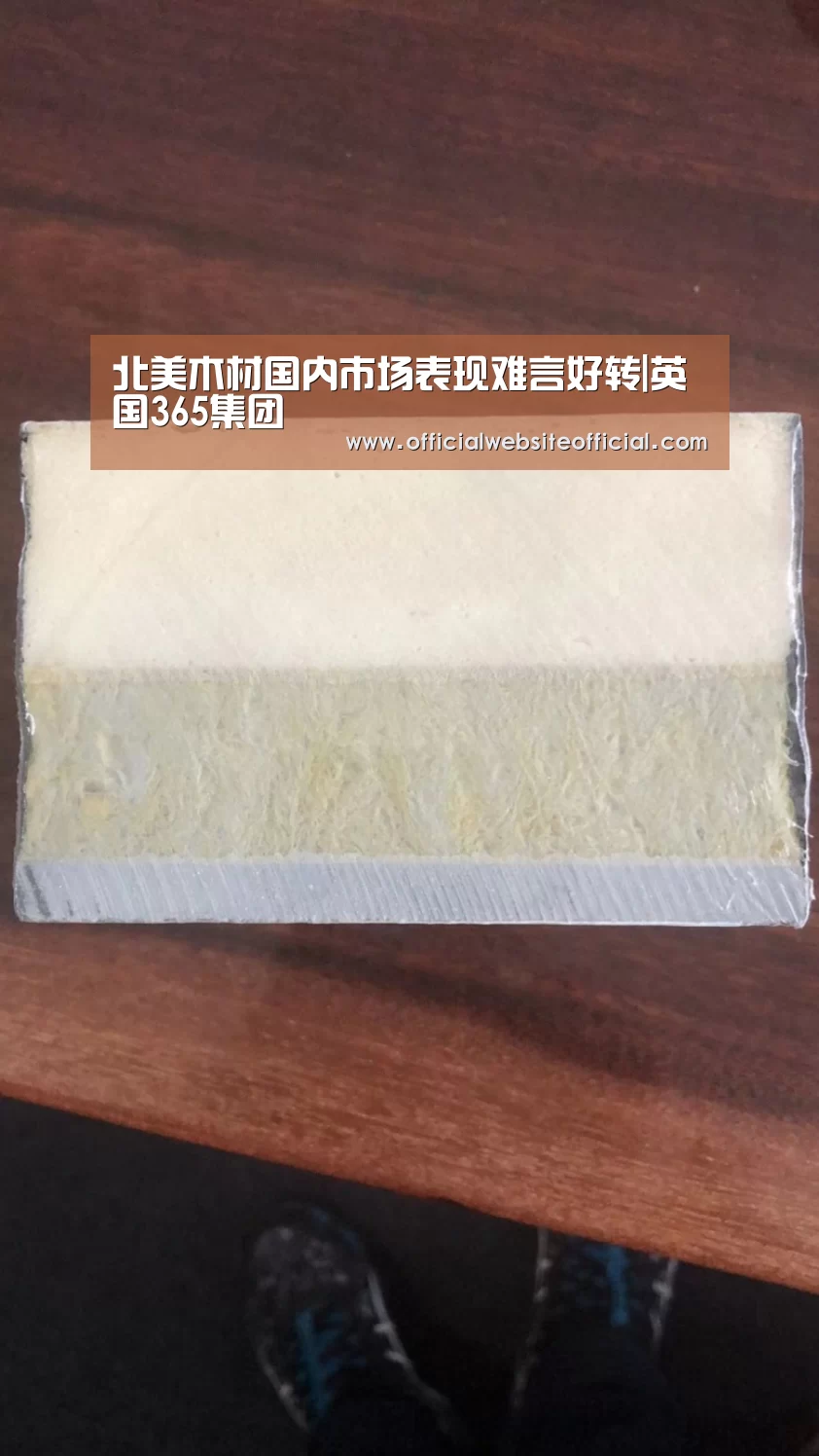 北美木材国内市场表现难言好转|英国365集团(图1) 英国365集团直播