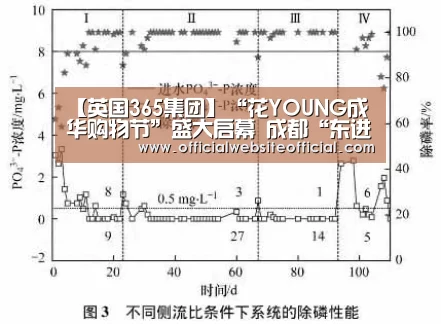 【英国365集团】“花YOUNG成华购物节”盛大启幕 成都“东进”商业升级 成华领头造节狂欢(图1) 英国365集团直播