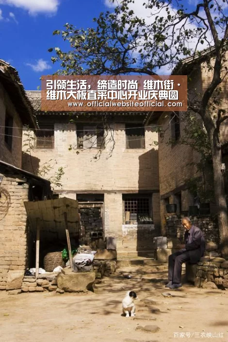 引领生活,缔造时尚 维木街·维木大板直采中心开业庆典圆满成功-英国上市公司365(图1) 英国上市公司365