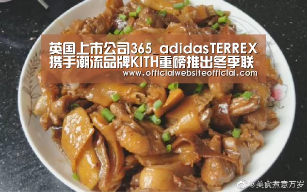 英国上市公司365_adidasTERREX携手潮流品牌KITH重磅推出冬季联名系列(图2) 英国上市公司365