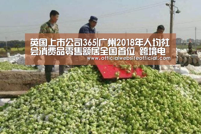 英国上市公司365|广州2018年人均社会消费品零售额居全国首位 跨境电商快速发展(图1) 英国365集团官网