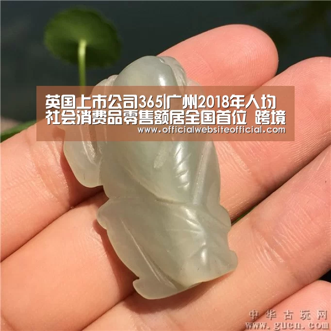 英国上市公司365|广州2018年人均社会消费品零售额居全国首位 跨境电商快速发展(图3) 英国上市公司365
