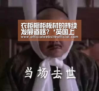 衣柜橱柜板材的持续发展道路?‘英国上市公司365’(图1) 英国365集团官网