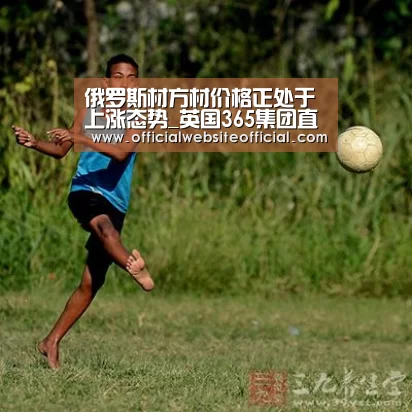 俄罗斯材方材价格正处于上涨态势_英国365集团直播(图2) 英国365集团直播